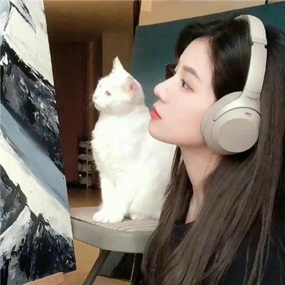 拜访小屋